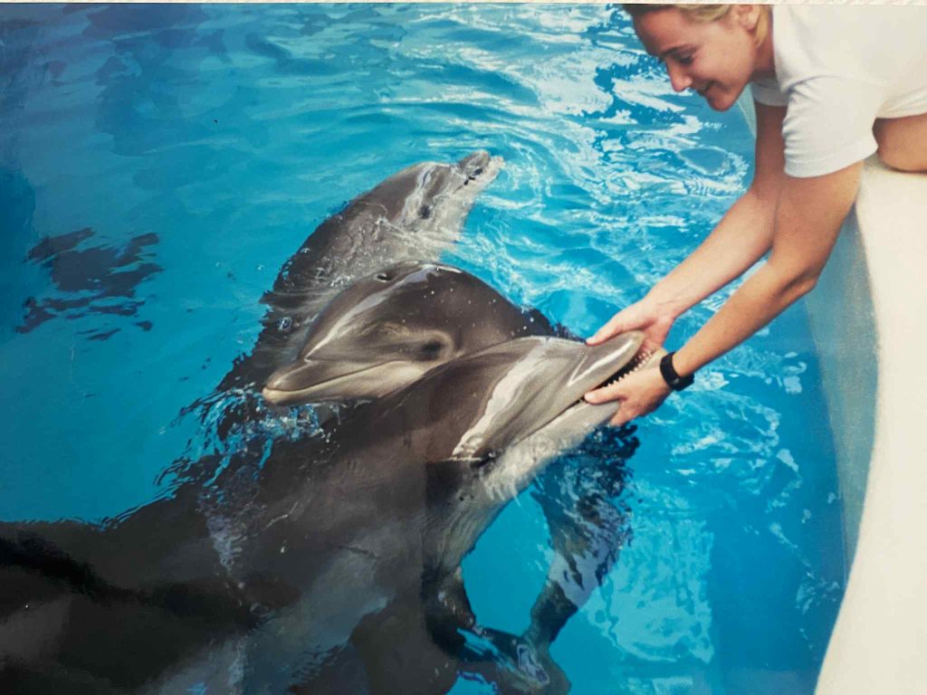 Blond girl petting three dolphins in a pool