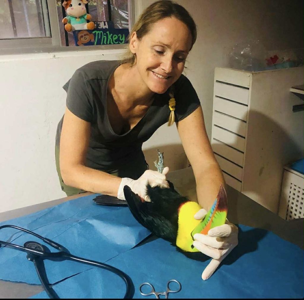 Blond girl holding a toucan exotic bird